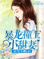 Bìa truyện Bạo Long Chàng Thượng Tiểu Điềm Thê (暴龙撞上小甜妻)