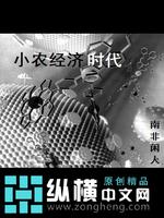 Bìa truyện Tiểu Nông Kinh Tế Thời Đại (小农经济时代)