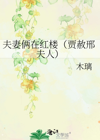 Bìa truyện Phu Thê Lưỡng Tại Hồng Lâu Giả Xá Hình Phu Nhân (夫妻俩在红楼（贾赦邢夫人）)