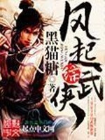 Bìa truyện Phong Khởi Tống Vũ Hiệp (风起综武侠)