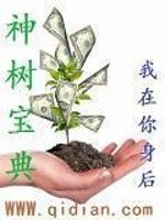Bìa truyện Thần Thụ Bảo Điển (神树宝典)