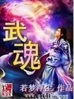 Bìa truyện Vũ Hồn (武魂)