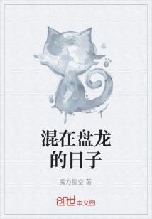 Bìa truyện Hỗn Tại Bàn Long Đích Nhật Tử (混在盘龙的日子)
