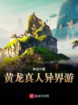 Bìa truyện Hoàng Long Chân Nhân Dị Giới Du (黄龙真人异界游)