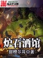 Bìa truyện Lô Thạch Tửu Quán (炉石酒馆)