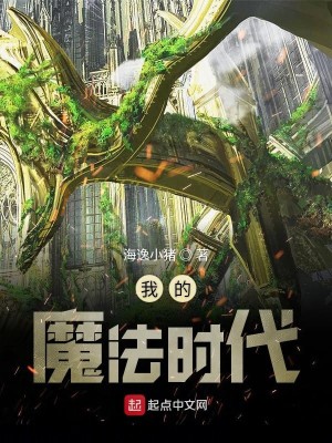 Bìa truyện Ngã Đích Ma Pháp Thời Đại (我的魔法时代)
