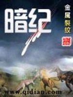 Bìa truyện Ám Kỉ (暗纪)