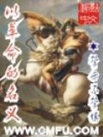 Bìa truyện Dĩ Cách Mệnh Đích Danh Nghĩa (以革命的名义)