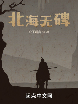 Bìa truyện Bắc Hải Vô Bi (北海无碑)