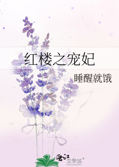 Bìa truyện Hồng Lâu Chi Sủng Phi (红楼之宠妃)