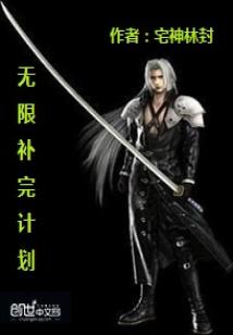 Bìa truyện Vô Hạn Bổ Hoàn Kế Hoa (无限补完计划)