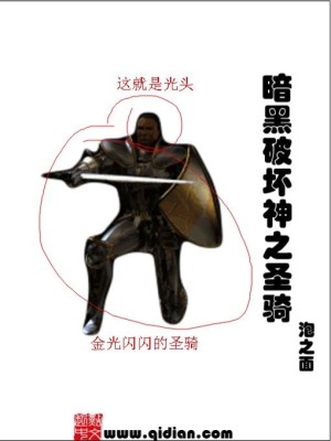 Bìa truyện Ám Hắc Phá Phôi Thần Chi Thánh Kỵ (暗黑破坏神之圣骑)