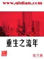 Bìa truyện Trọng Sinh Chi Lưu Niên (重生之流年)