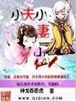 Bìa truyện Tiểu Phu Tiểu Thê Tiểu Tiên Nhân (小夫小妻小仙人)
