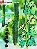 Bìa truyện Hỗn Tại Đông Doanh Thành Đại Hanh (混在东瀛成大亨)