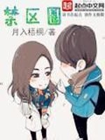 Bìa truyện Hàn Ngu Chi Cấm Âu Quyển (韩娱之禁区圈)