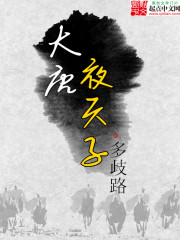 Bìa truyện Đại Đường Dạ Thiên Tử (大唐夜天子)