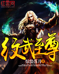 Bìa truyện Văn Vũ Chí Tôn (纹武至尊)