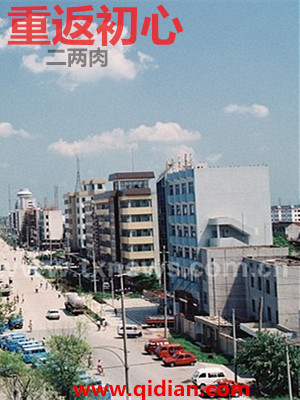 Bìa truyện Trọng Phản Sơ Tâm (重返初心)