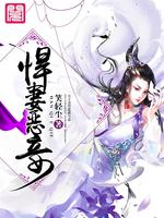 Bìa truyện Hãn Thê Ác Thiếp (悍妻恶妾)