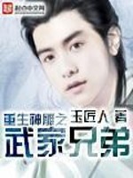 Bìa truyện Trọng Sinh Thần Điêu Chi Vũ Gia Huynh Đệ (重生神雕之武家兄弟)
