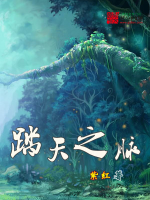 Bìa truyện Đạp Thiên Chi Mạch (踏天之脉)