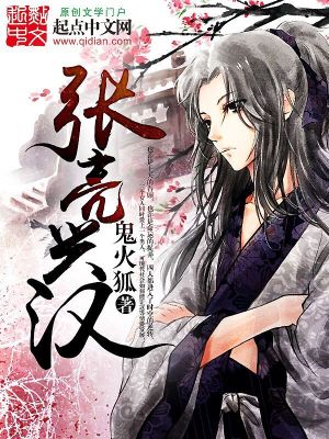 Bìa truyện Trương Lượng Hưng Hán (张亮兴汉)
