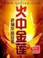 Bìa truyện Hỏa Trung Kim Liên (火中金莲)
