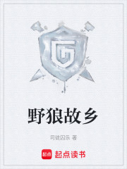 Bìa truyện Dã Lang Cố Hương (野狼故乡)