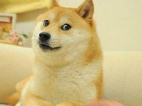 Bìa truyện Yêu Thọ Lạp Hữu Nhân Yếu Nhật Cẩu Lạp (夭寿啦！有人要日狗啦！)