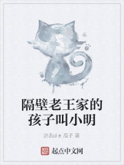 Bìa truyện Cách Bích Lão Vương Gia Đích Hài Tử Khiếu Tiểu Minh (隔壁老王家的孩子叫小明)