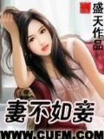 Bìa truyện Thê Bất Như Thiếp (妻不如妾)