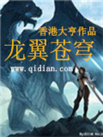 Bìa truyện Long Dực Thương Khung (龙翼苍穹)