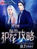 Bìa truyện Đô Thị Hộ Hoa Công Lược (都市护花攻略)