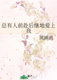 Bìa truyện Tổng Hữu Nhân Tiền Phó Hậu Kế Địa Ái Thượng Ngã (总有人前赴后继地爱上我)