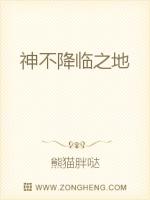 Bìa truyện Thần Bất Giáng Lâm Chi Địa (神不降临之地)