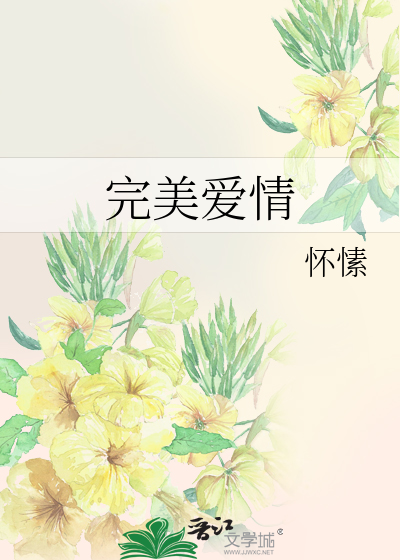 Bìa truyện Hoàn Mĩ Ái Tình (完美爱情)