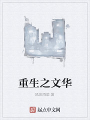 Bìa truyện Trọng Sinh Chi Văn Hoa (重生之文华)