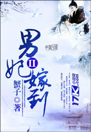Bìa truyện Nam Phi Giá Đáo Ii (男妃嫁到II)