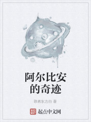 Bìa truyện A Nhĩ Bỉ An Đích Kì Tích (阿尔比安的奇迹)