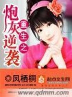 Bìa truyện Trọng Sinh Chi Pháo Hôi Nghịch Tập (重生之炮灰逆袭)