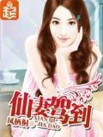 Bìa truyện Tiên Thê Giá Đáo (仙妻驾到)