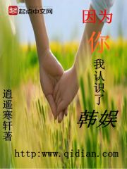 Bìa truyện Nhân Vi Nhĩ Ngã Nhận Thức Liễu Hàn Ngu (因为你，我认识了韩娱)