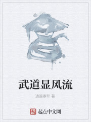 Bìa truyện Vũ Đạo Hiển Phong Lưu (武道显风流)