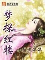 Bìa truyện Mộng Thám Hồng Lâu (梦探红楼)