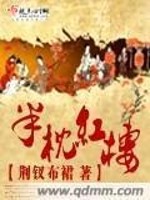 Bìa truyện Bán Chẩm Hồng Lâu (半枕红楼)