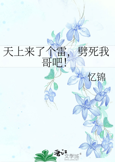Bìa truyện Thiên Thượng Lai Liễu Cá Lôi Phách Tử Ngã Ca Ba (天上来了个雷，劈死我哥吧！)