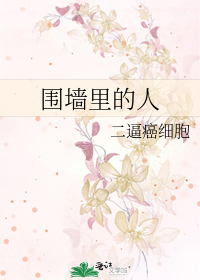 Bìa truyện Vi Tường Lí Đích Nhân (围墙里的人)