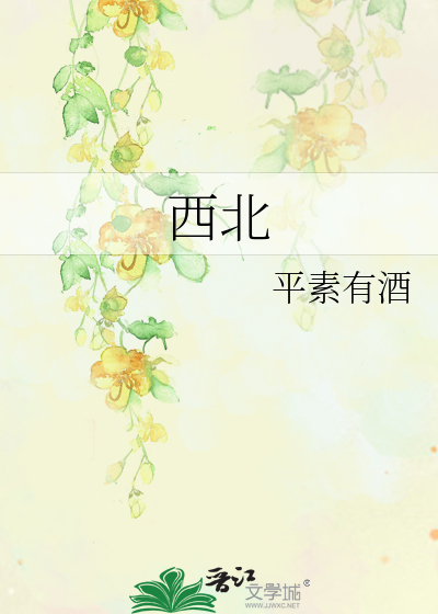 Bìa truyện Tây Bắc (西北)
