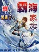 Bìa truyện Bá Hải Gia Tộc (霸海家族)